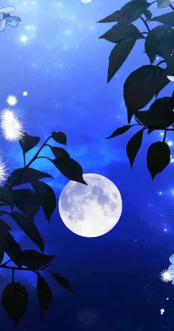 Dành Cho Nhân Vật Bị Bỏ Rơi Yêu Thích Nhất Của Tôi - Chương 112.1 - ảnh 13