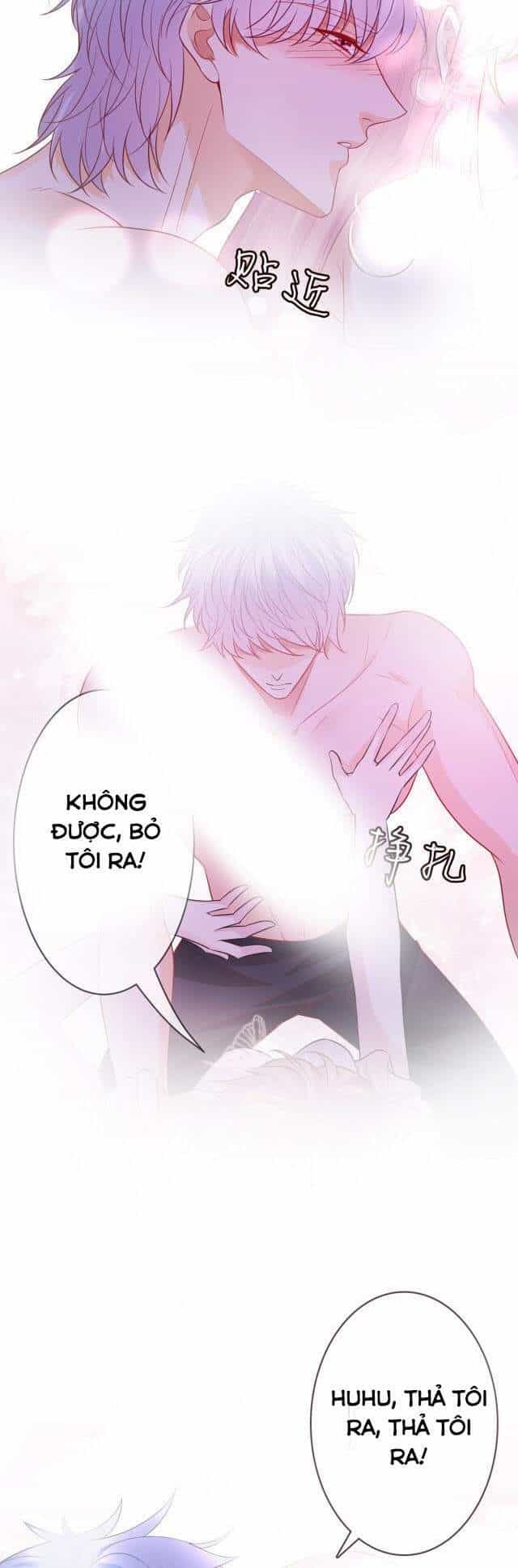 Danh Môn Chí Ái - Chương 249 - ảnh 24