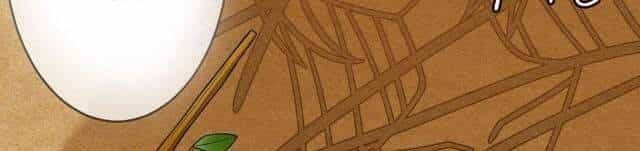 Danh Môn Chí Ái - Chương 253 - ảnh 4
