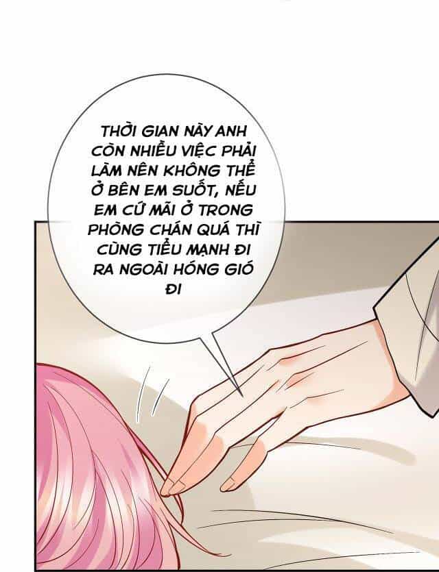 Danh Môn Chí Ái - Chương 387 - ảnh 20