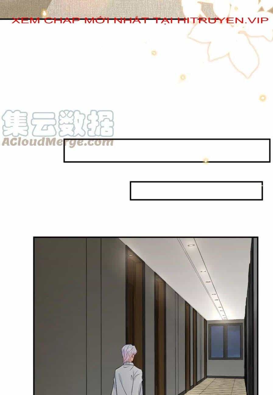 Danh Môn Chí Ái - Chương 388 - ảnh 33