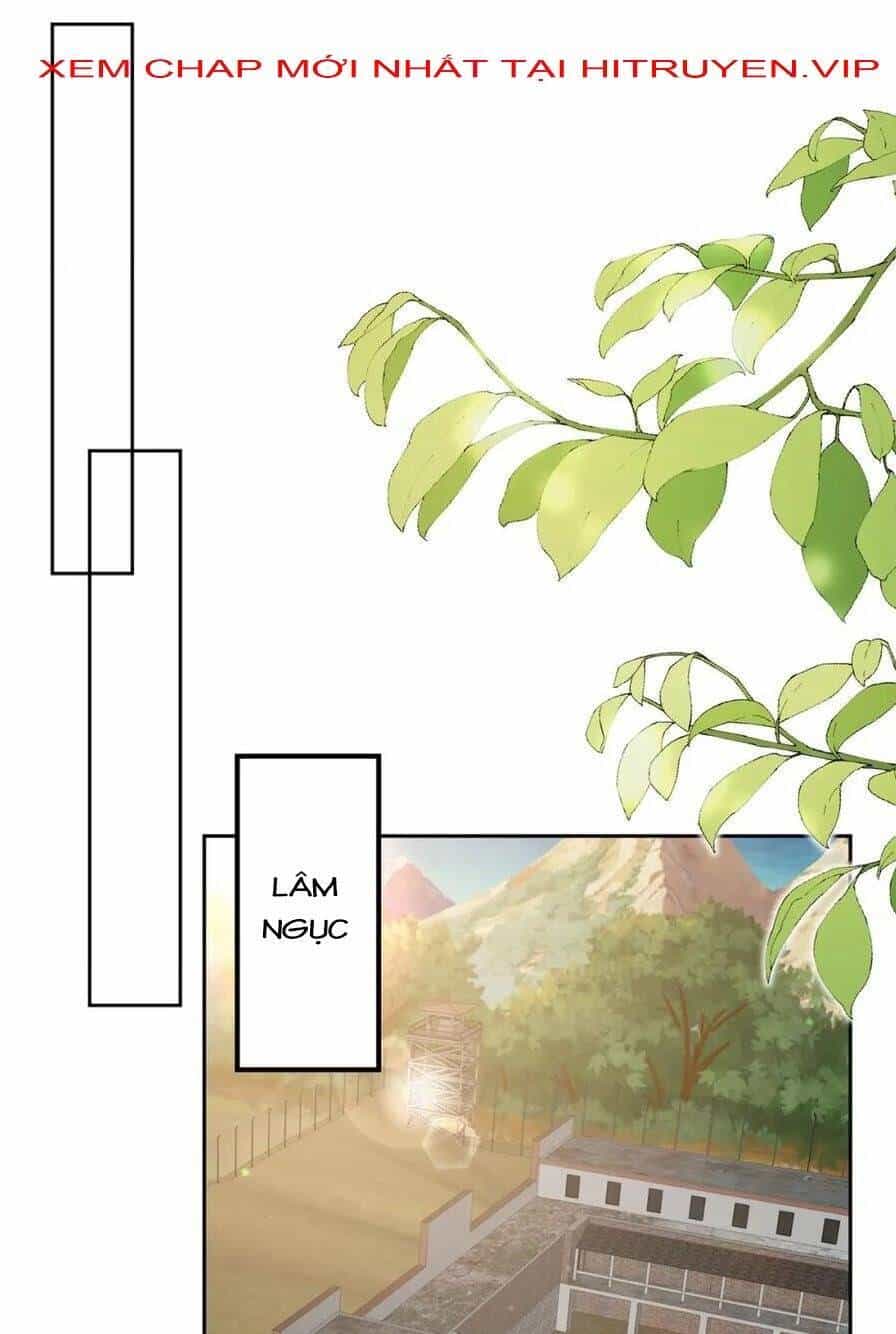 Danh Môn Chí Ái - Chương 389 - ảnh 25