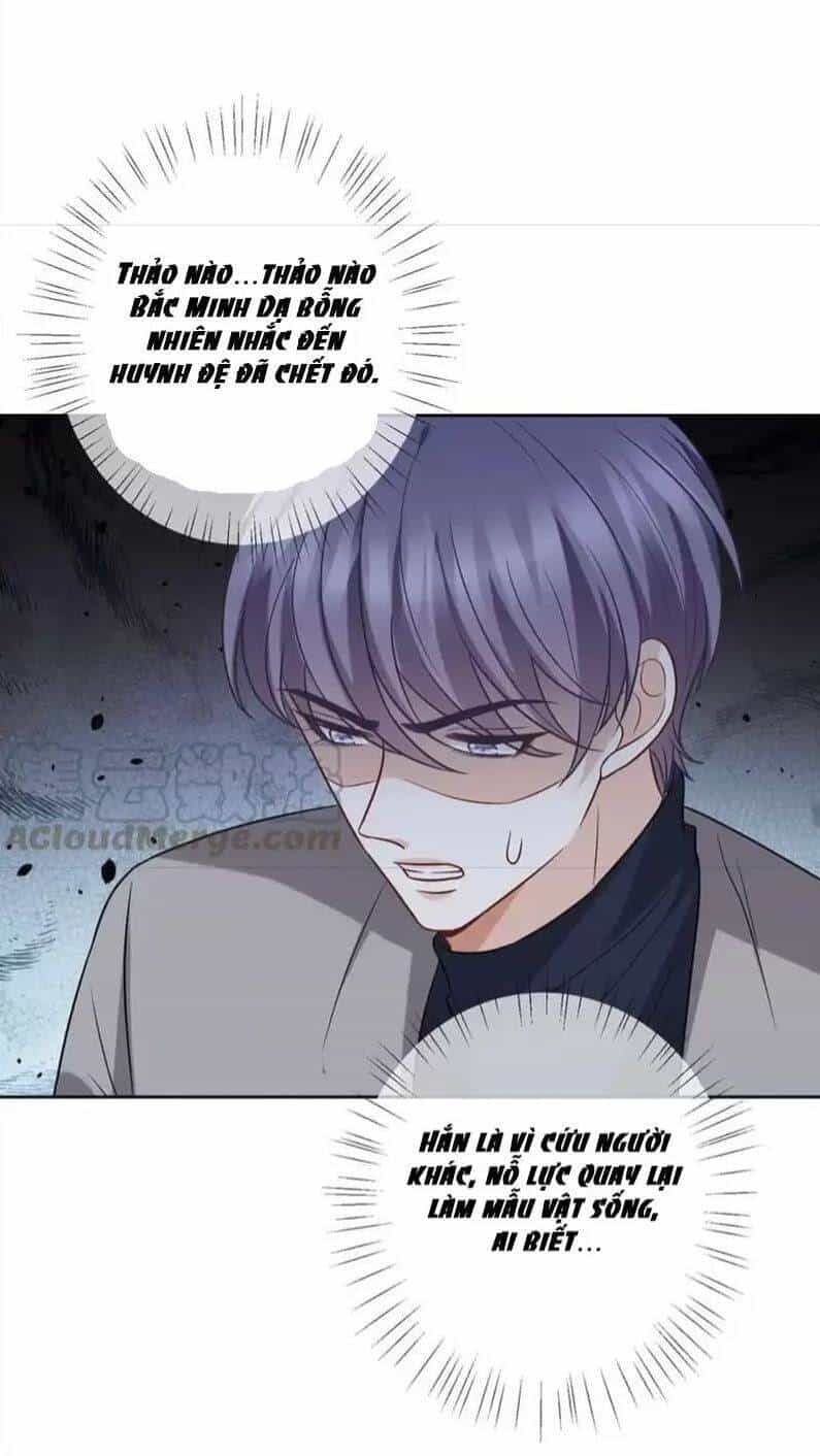 Danh Môn Chí Ái - Chương 436 - ảnh 17