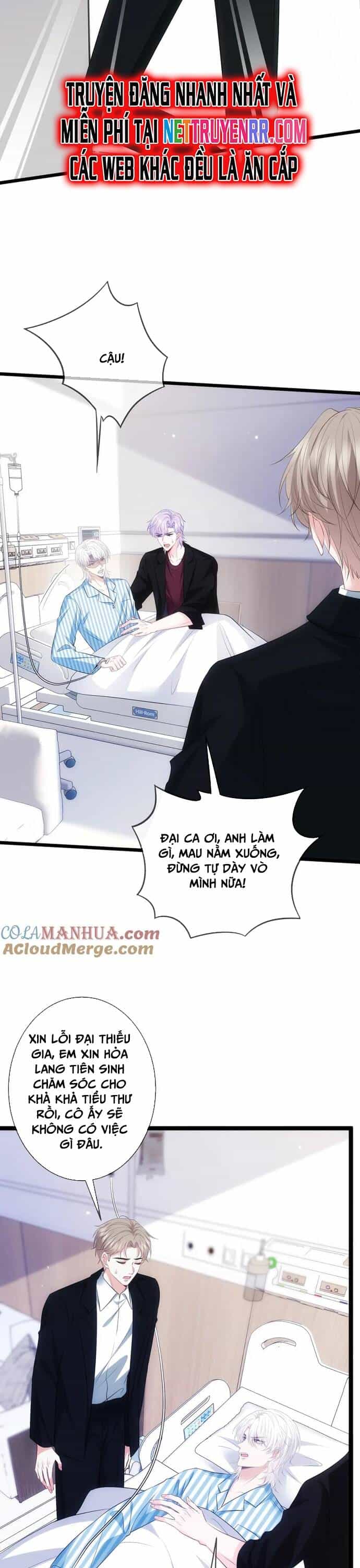 Danh Môn Chí Ái - Chương 498 - ảnh 4