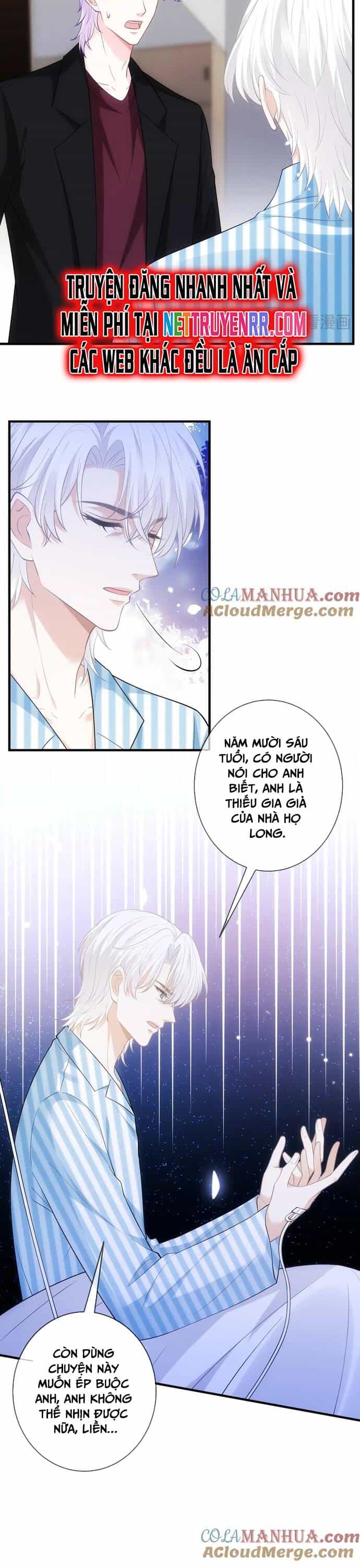Danh Môn Chí Ái - Chương 498 - ảnh 8