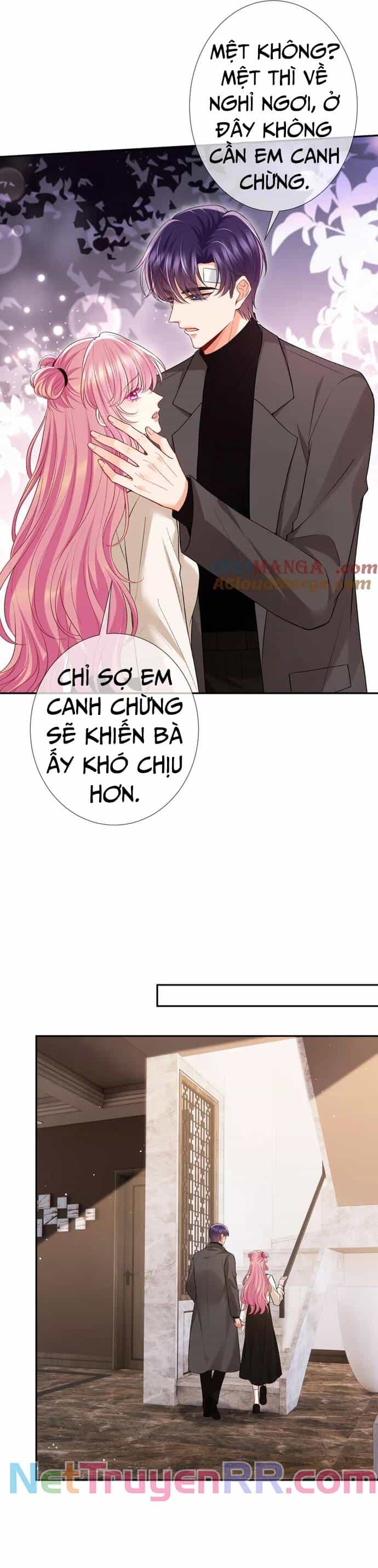 Danh Môn Chí Ái - Chương 504 - ảnh 11