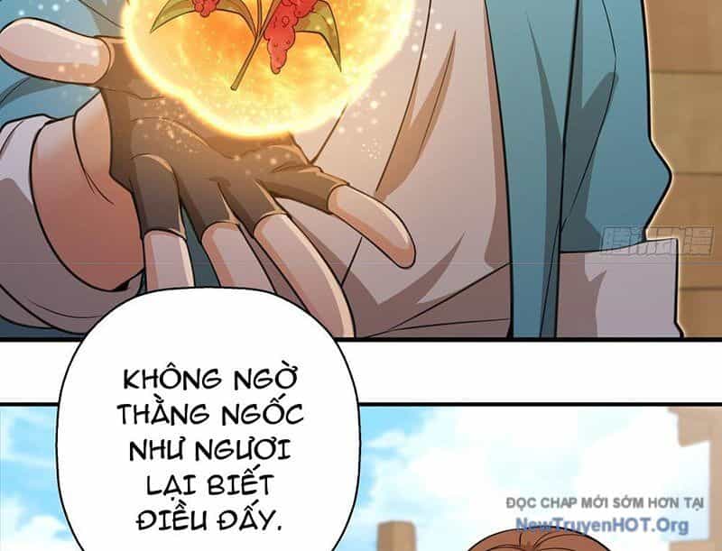 Đấu Khúc Thiên Hạ - Chương 20 - ảnh 3