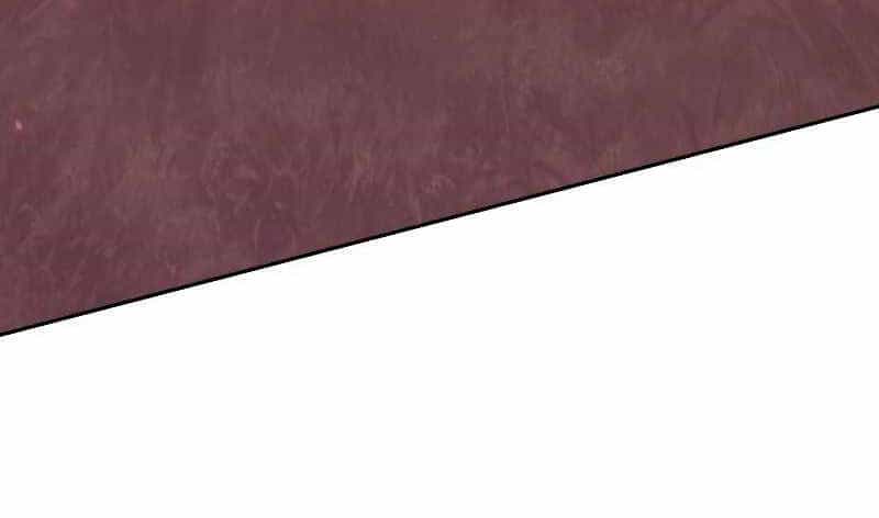 Đấu Trường Sinh Tử - Chương 113.5 - ảnh 119