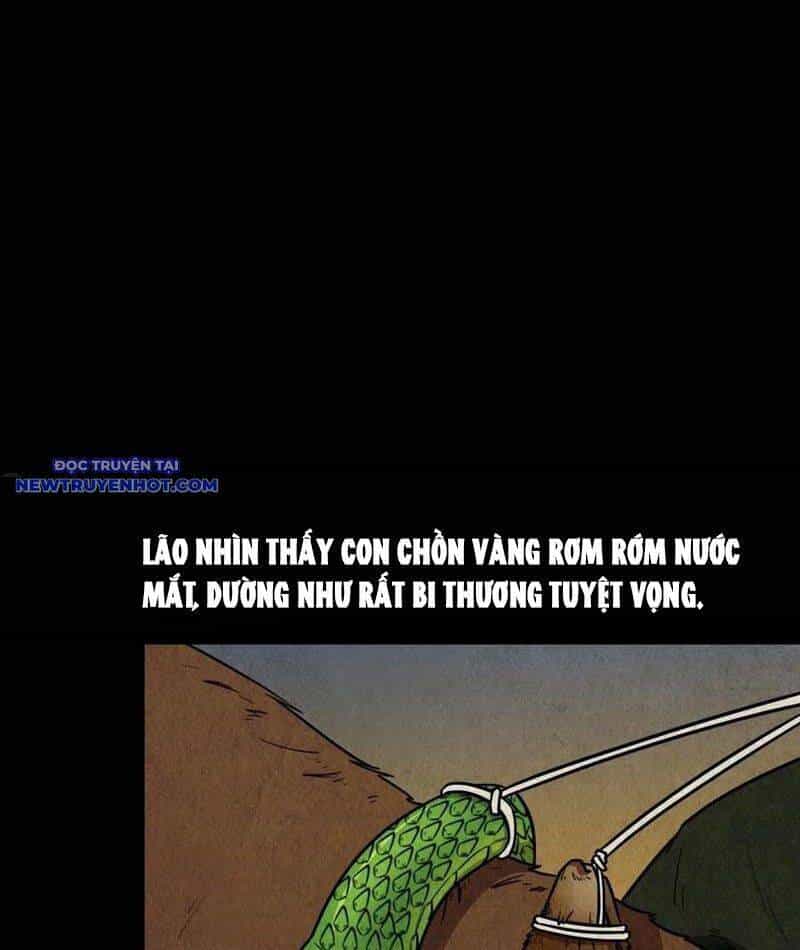 Đấu Yếm Thần - Chương 108 - ảnh 12