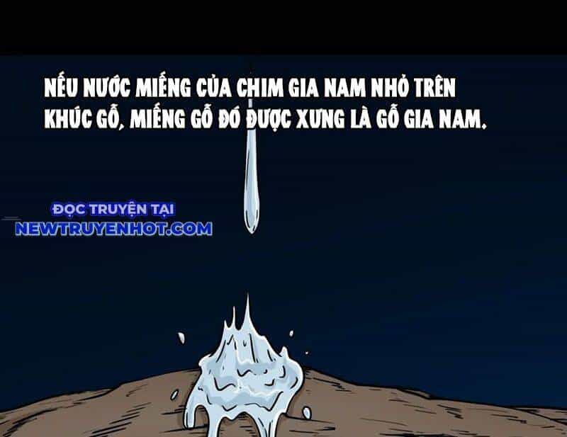 Đấu Yếm Thần - Chương 196 - ảnh 88