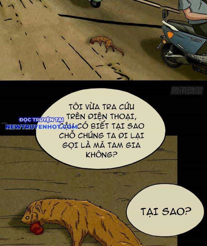 Đấu Yếm Thần - Chương 211 - ảnh 57