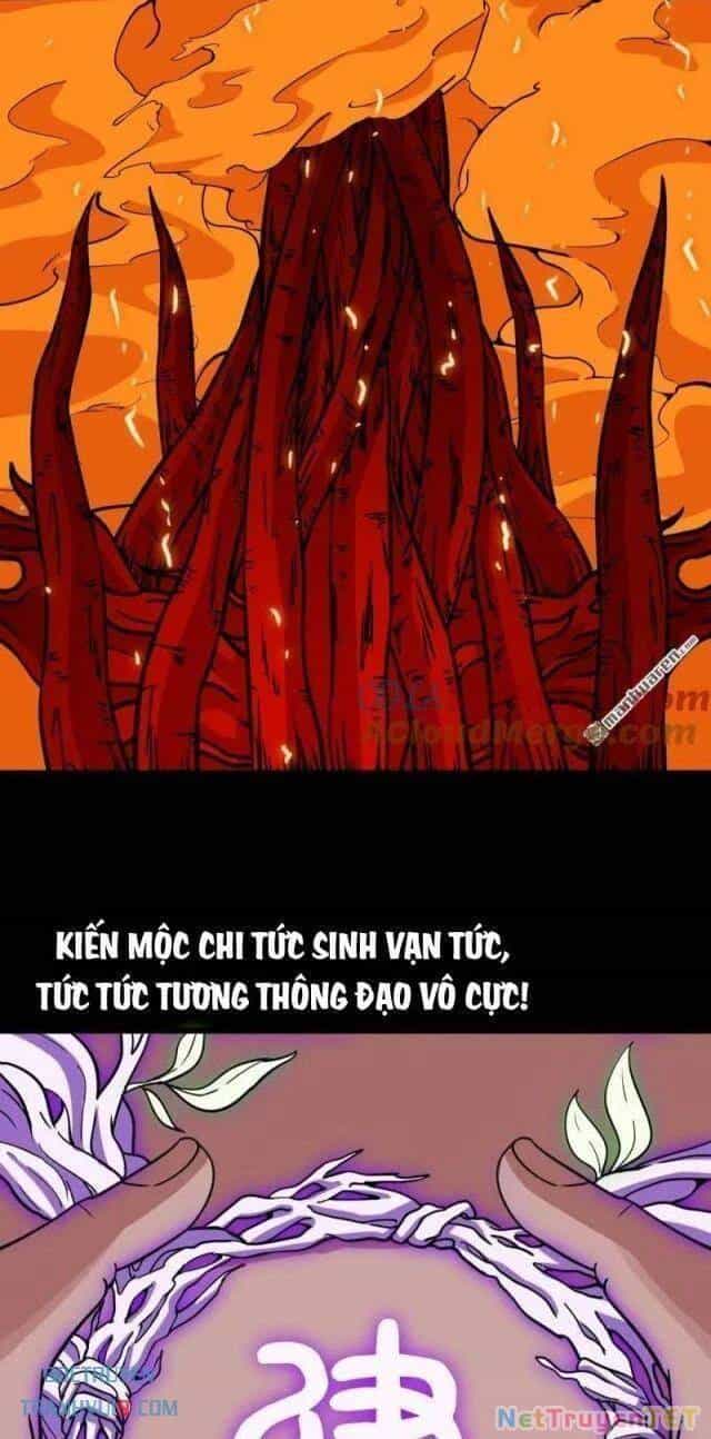 Đấu Yếm Thần - Chương 293 - ảnh 4