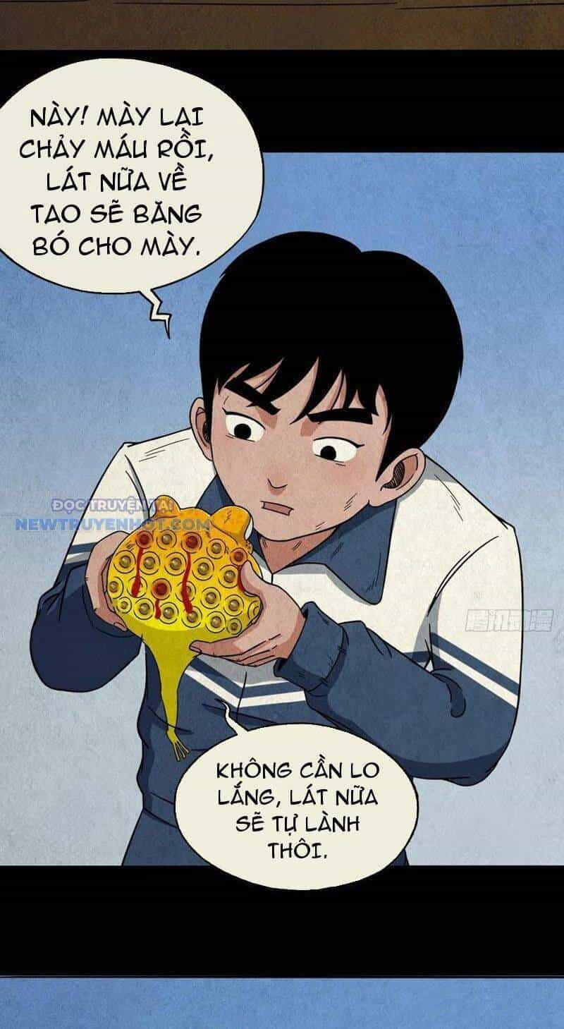 Đấu Yếm Thần - Chương 70 - ảnh 12