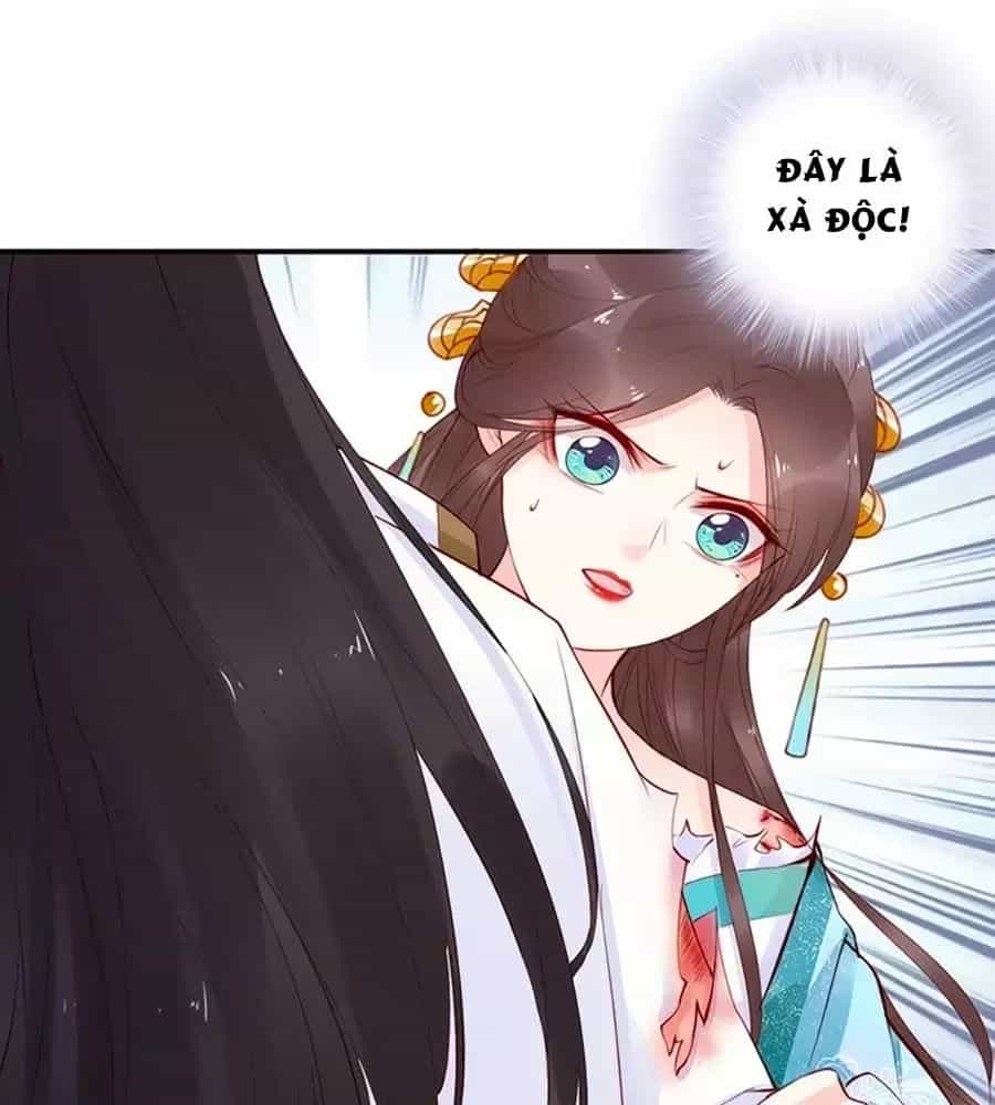 Đế Cung Đông Hoàng Phi - Chương 21 - ảnh 75