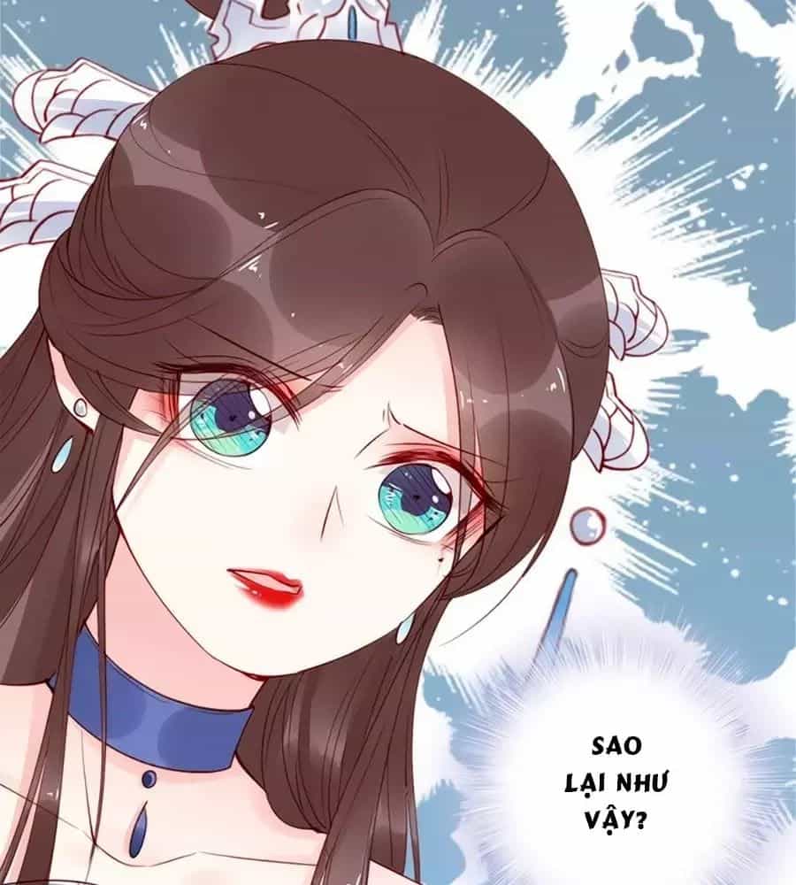 Đế Cung Đông Hoàng Phi - Chương 24 - ảnh 71