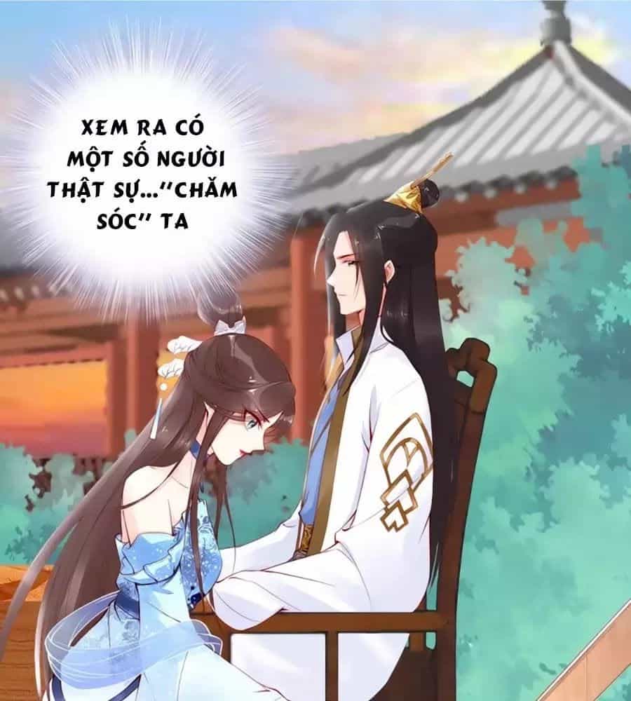 Đế Cung Đông Hoàng Phi - Chương 25 - ảnh 1