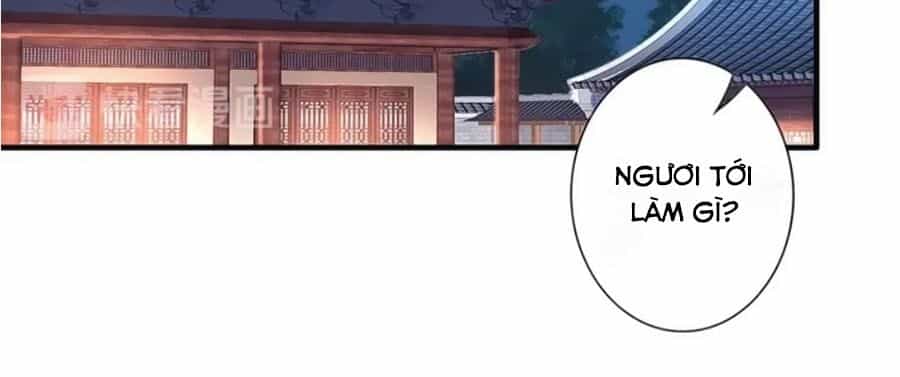 Đế Cung Đông Hoàng Phi - Chương 58 - ảnh 10