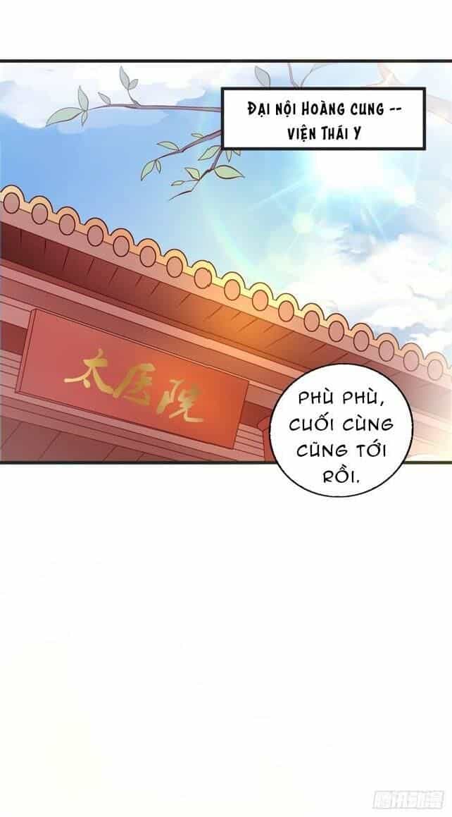 Đế Hoàng Chi Thần Y Khí Phi - Chương 39 - ảnh 20
