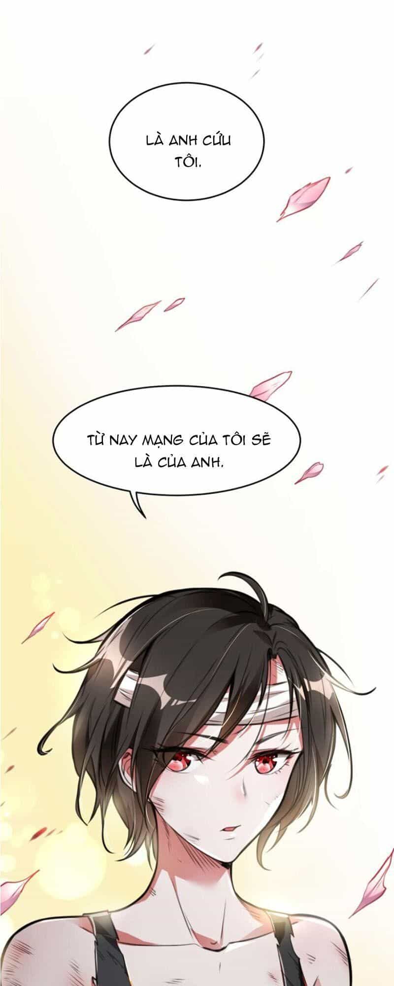Đệ Nhất Ở Rể - Chương 10 - ảnh 17