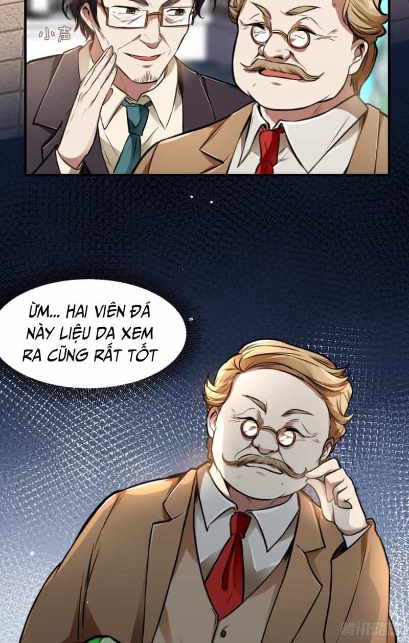 Đệ Nhất Ở Rể - Chương 11 - ảnh 13