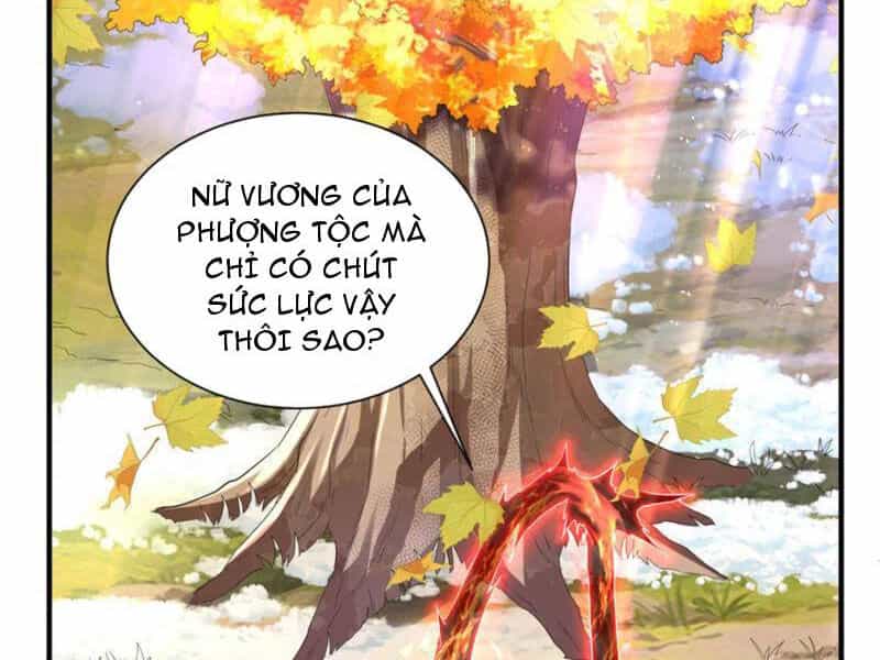 Đệ Nhất Ở Rể - Chương 301 - ảnh 31