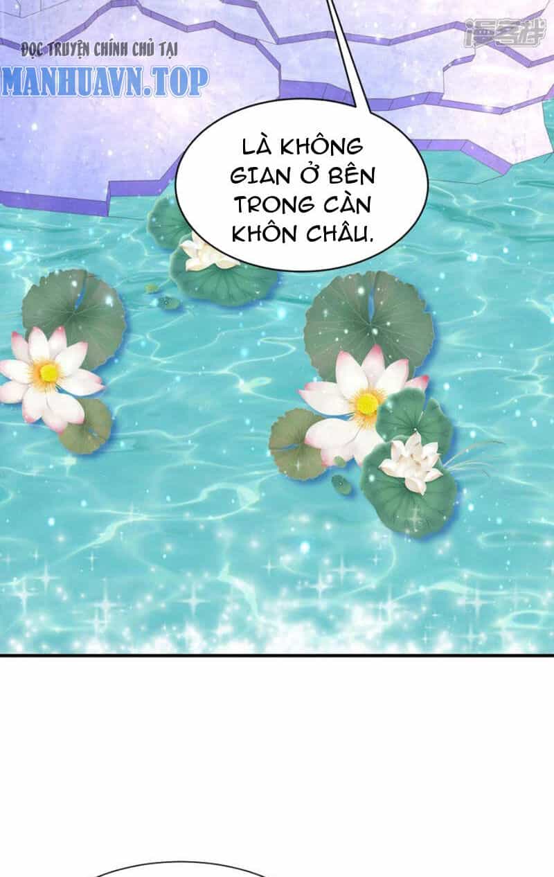 Đệ Nhất Ở Rể - Chương 304 - ảnh 35