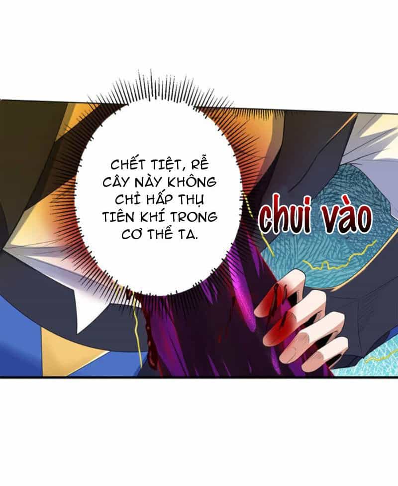 Đệ Nhất Ở Rể - Chương 313 - ảnh 16
