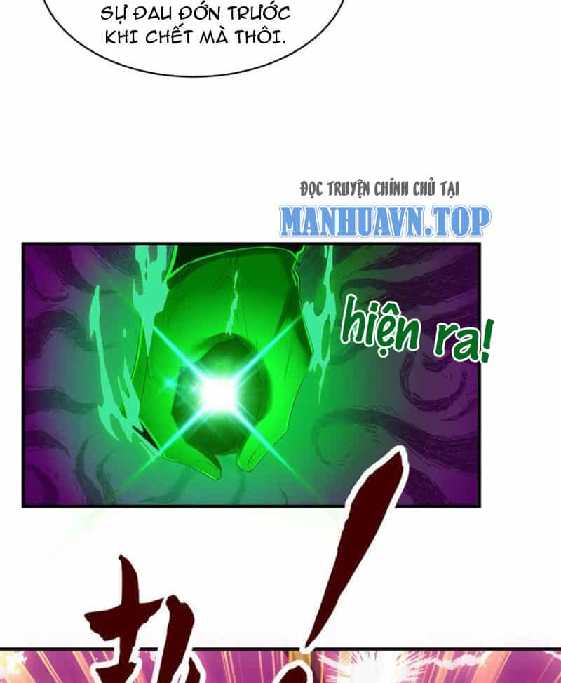 Đệ Nhất Ở Rể - Chương 313 - ảnh 29