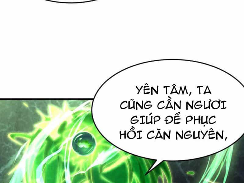Đệ Nhất Ở Rể - Chương 314 - ảnh 35