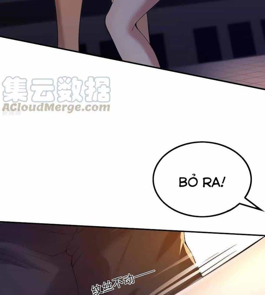 Đệ Nhất Ở Rể - Chương 52 - ảnh 17