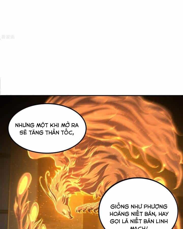 Đệ Nhất Ở Rể - Chương 80 - ảnh 27
