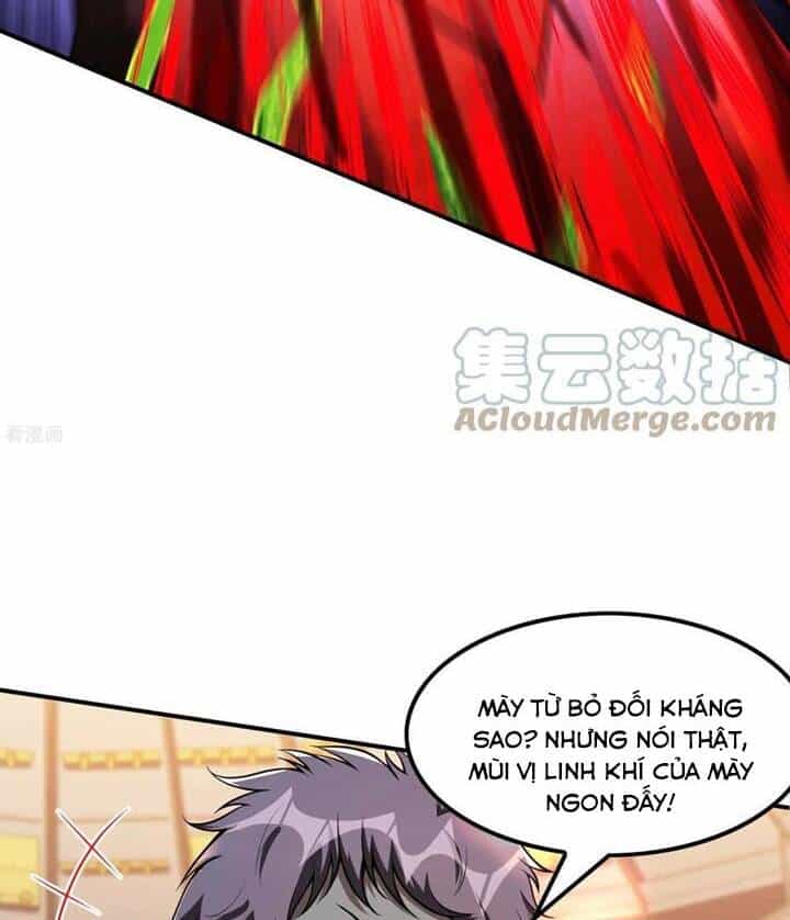 Đệ Nhất Ở Rể - Chương 97 - ảnh 71
