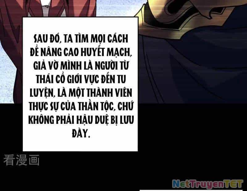 Đệ Tử Tu Luyện Còn Ta Thì Lười Biếng - Chương 154 - ảnh 41