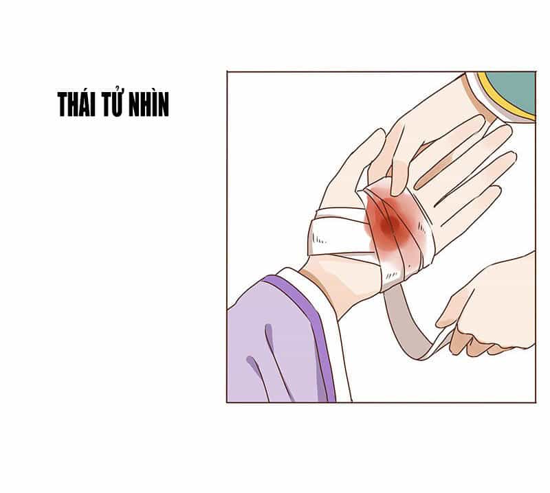 Đế Vương Trắc - Chương 11 - ảnh 42