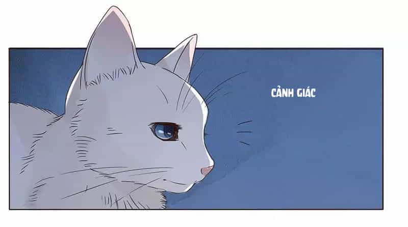 Đế Vương Trắc - Chương 152 - ảnh 13