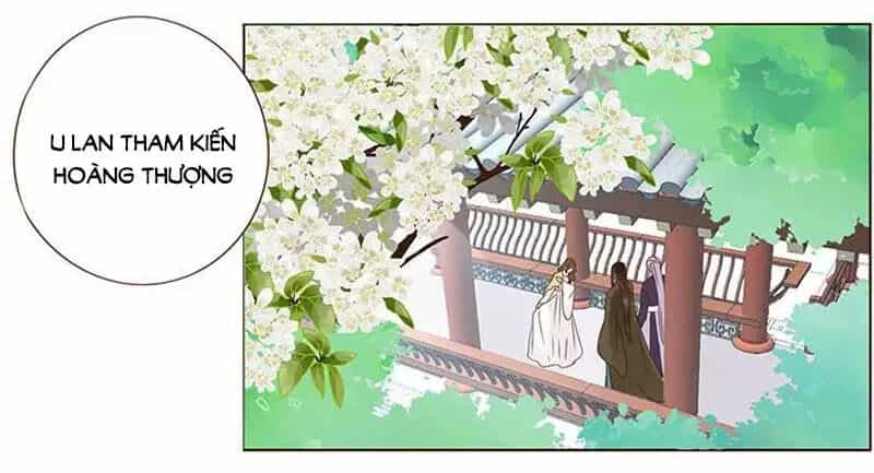 Đế Vương Trắc - Chương 165 - ảnh 4