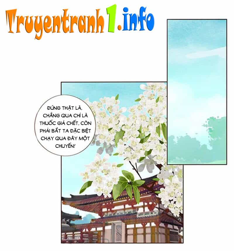 Đế Vương Trắc - Chương 187 - ảnh 1