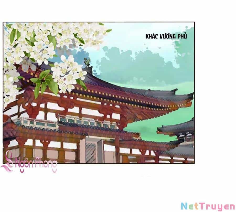 Đế Vương Trắc - Chương 253 - ảnh 1