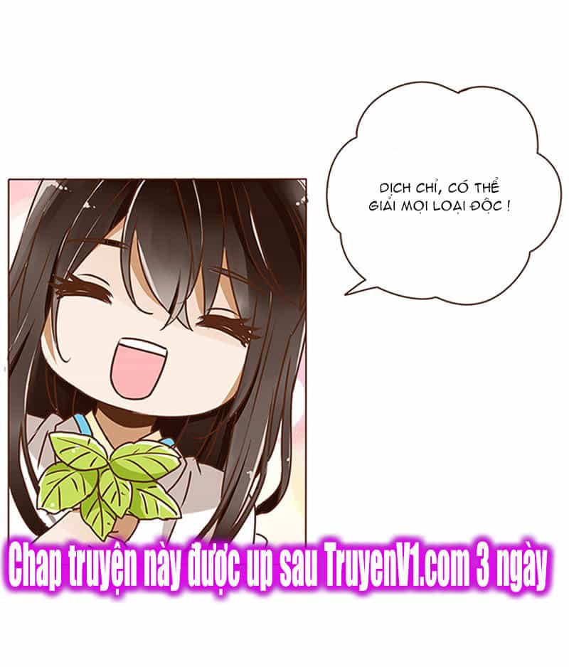 Đế Vương Trắc - Chương 5 - ảnh 29