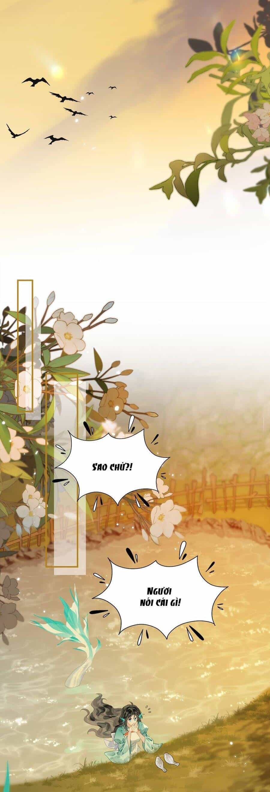 Đến Đông Hải Tìm Mỹ Nhân - Chương 12 - ảnh 15