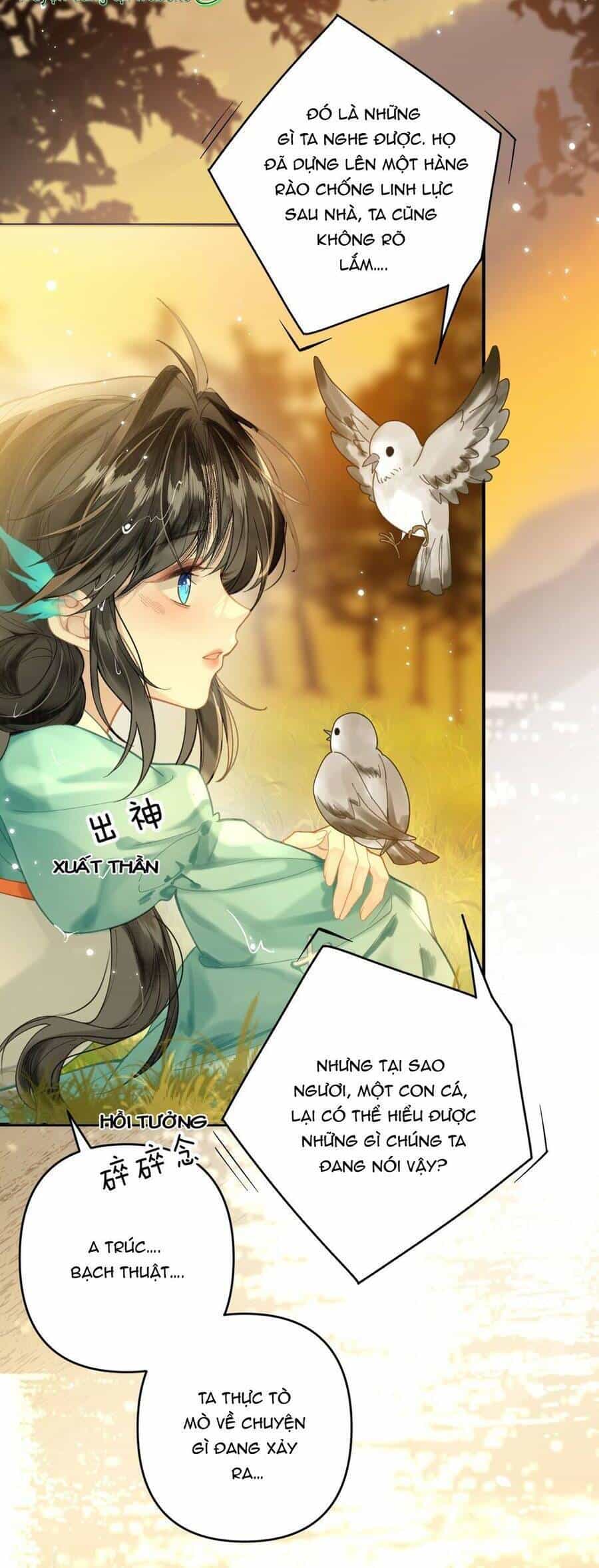 Đến Đông Hải Tìm Mỹ Nhân - Chương 12 - ảnh 18