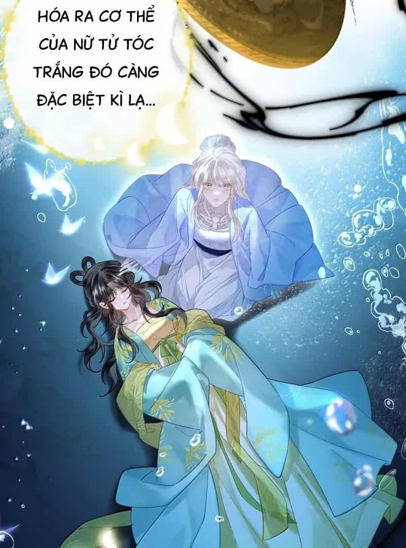 Đến Đông Hải Tìm Mỹ Nhân - Chương 36 - ảnh 77