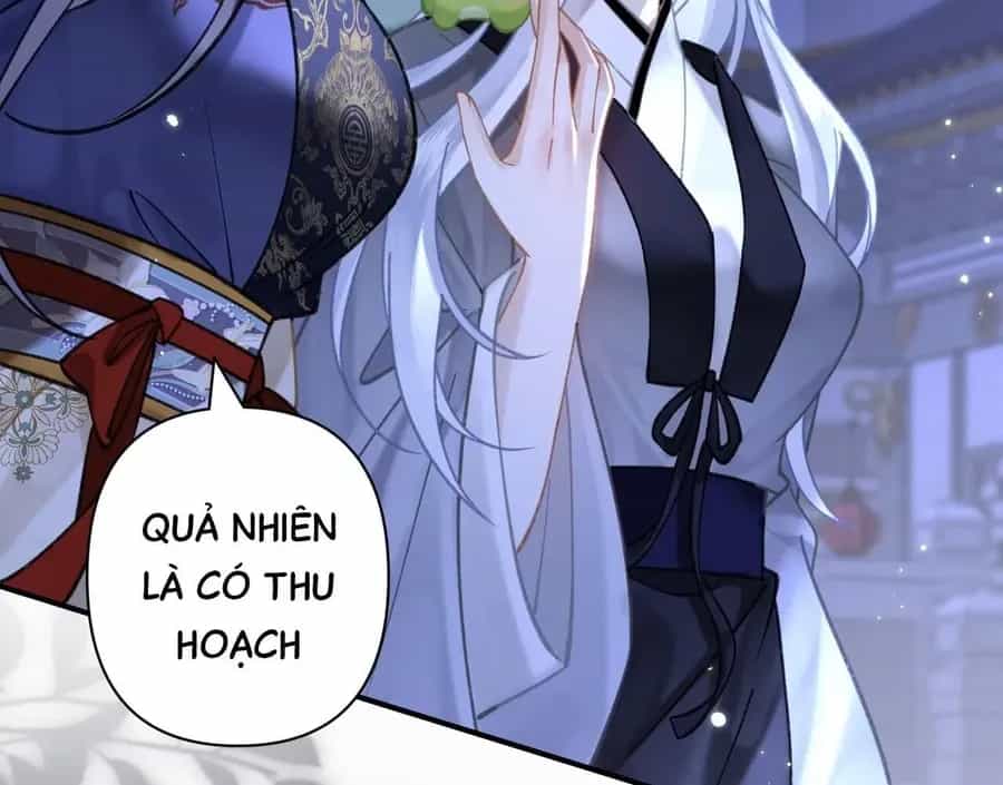 Đến Đông Hải Tìm Mỹ Nhân - Chương 42 - ảnh 21