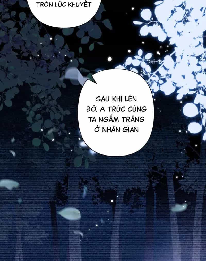 Đến Đông Hải Tìm Mỹ Nhân - Chương 45 - ảnh 33