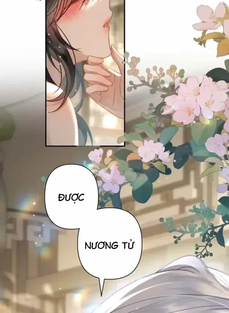 Đến Đông Hải Tìm Mỹ Nhân - Chương 56 - ảnh 19