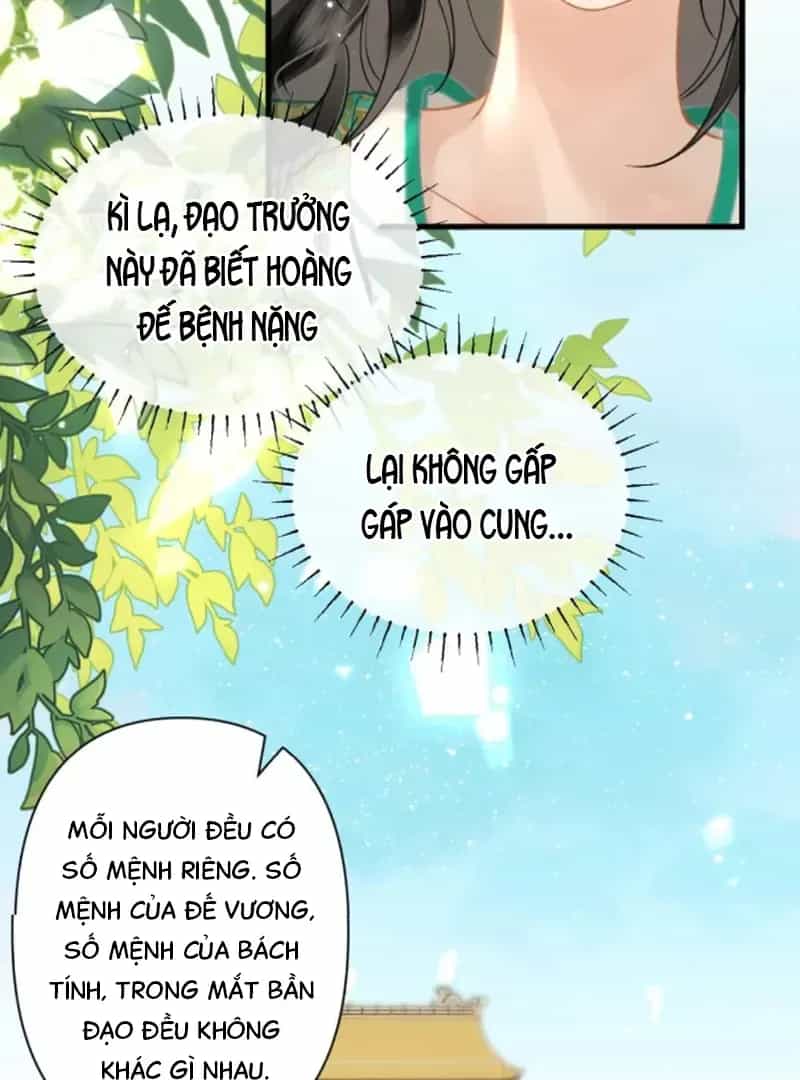 Đến Đông Hải Tìm Mỹ Nhân - Chương 57 - ảnh 39