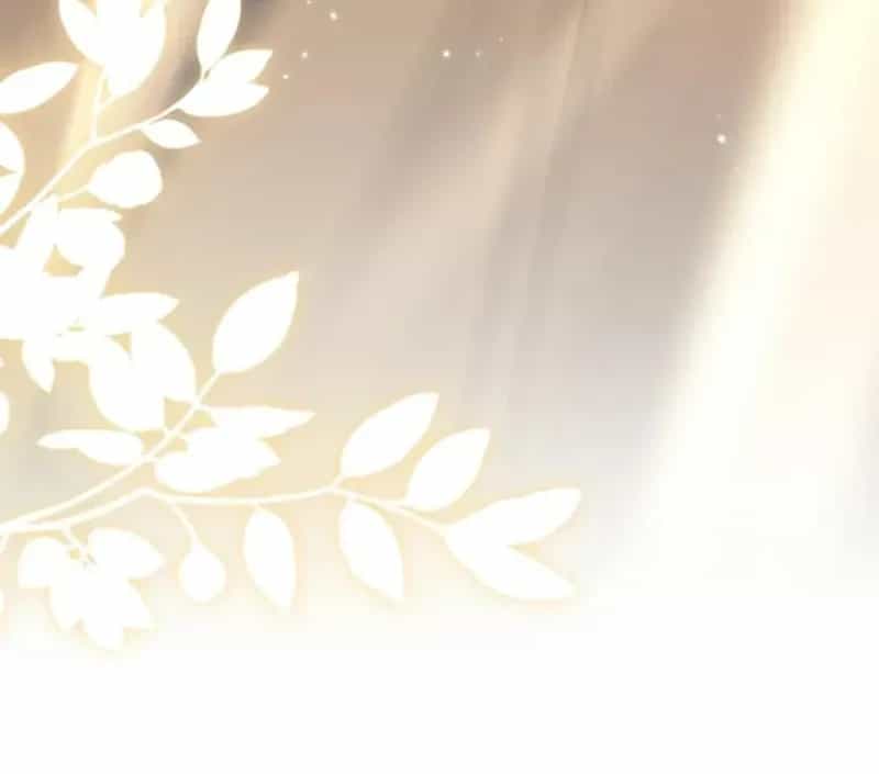Đến Đông Hải Tìm Mỹ Nhân - Chương 61 - ảnh 32