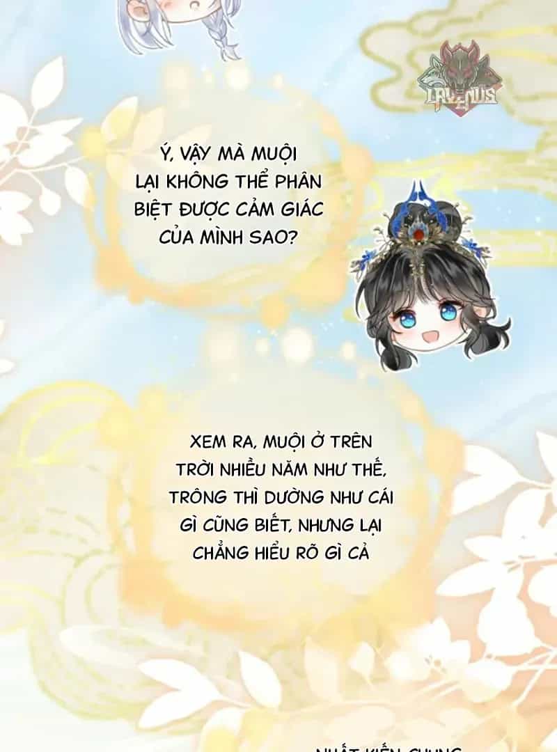 Đến Đông Hải Tìm Mỹ Nhân - Chương 66 - ảnh 17