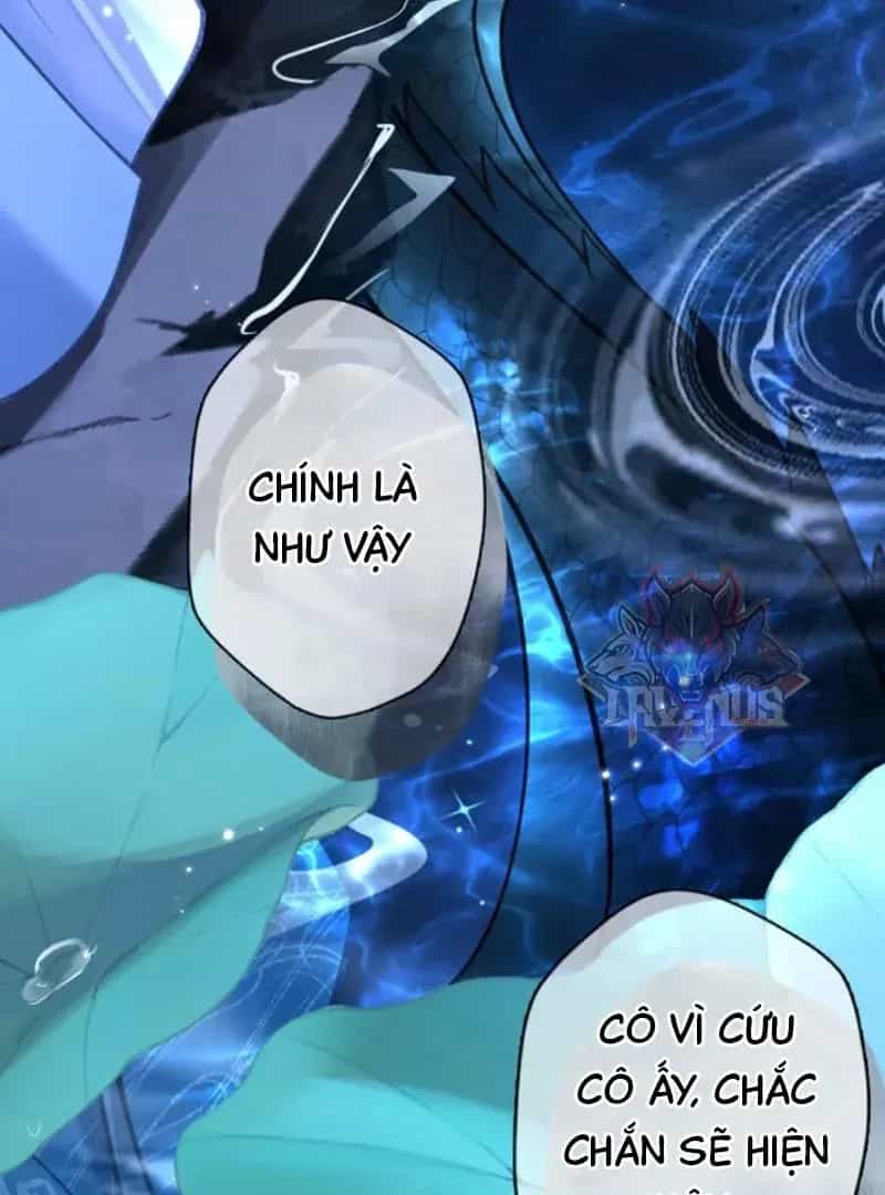 Đến Đông Hải Tìm Mỹ Nhân - Chương 67 - ảnh 19