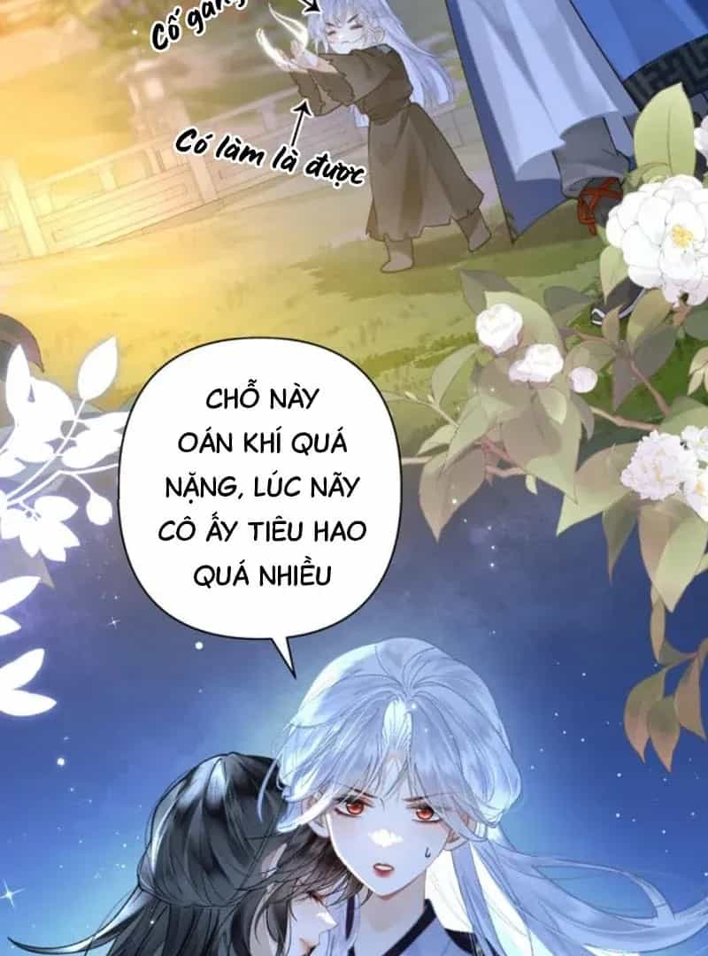 Đến Đông Hải Tìm Mỹ Nhân - Chương 67 - ảnh 23